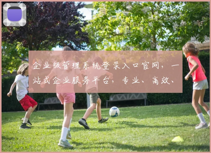 企业级管理系统登录入口官网，一站式企业服务平台，专业、高效、安全，三重保障，助您轻松办公，